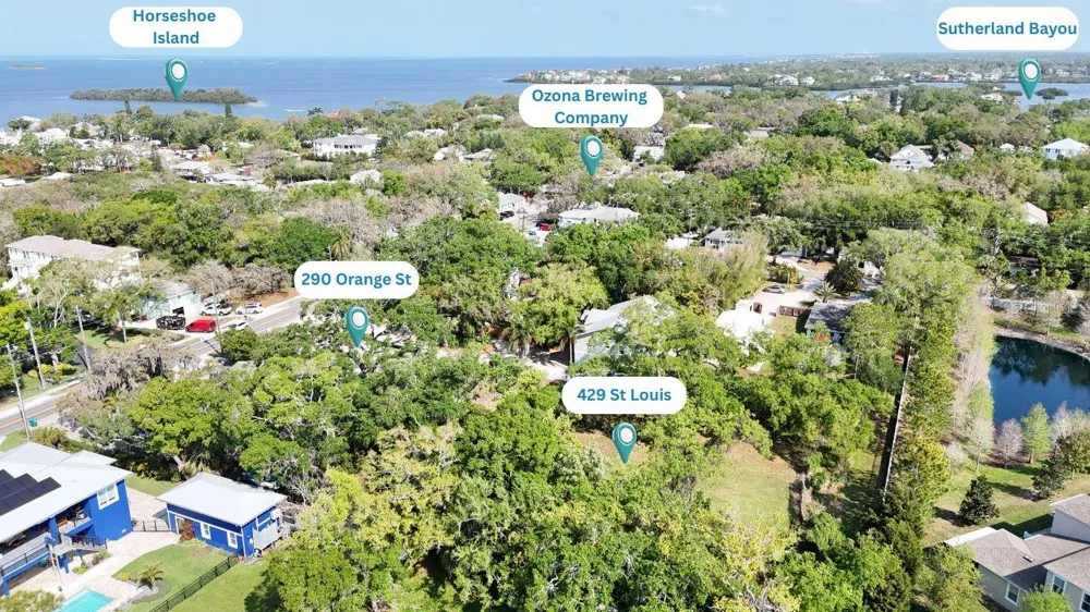 290 ORANGE STREET Palm Harbor, FL 34683