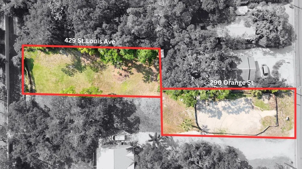 290 ORANGE STREET Palm Harbor, FL 34683