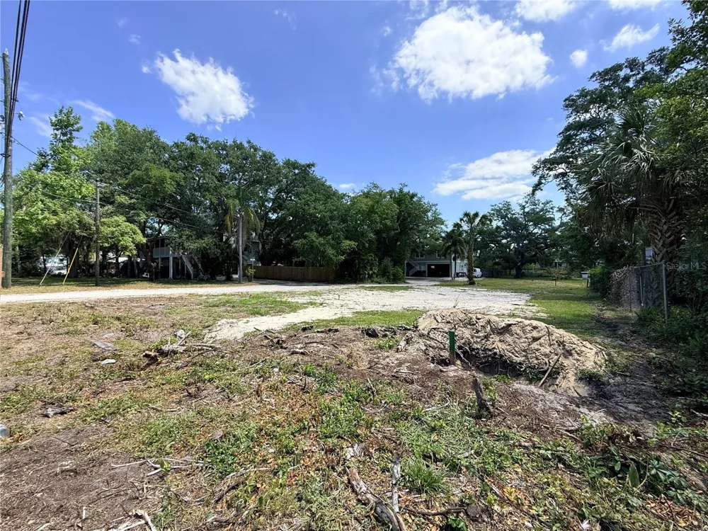 290 ORANGE STREET Palm Harbor, FL 34683