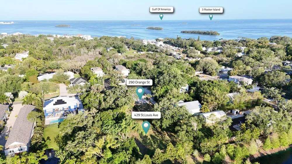 290 ORANGE STREET Palm Harbor, FL 34683