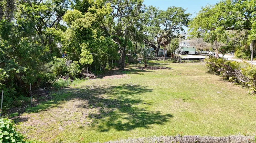 429 ST LOUIS AVENUE Palm Harbor, FL 34683