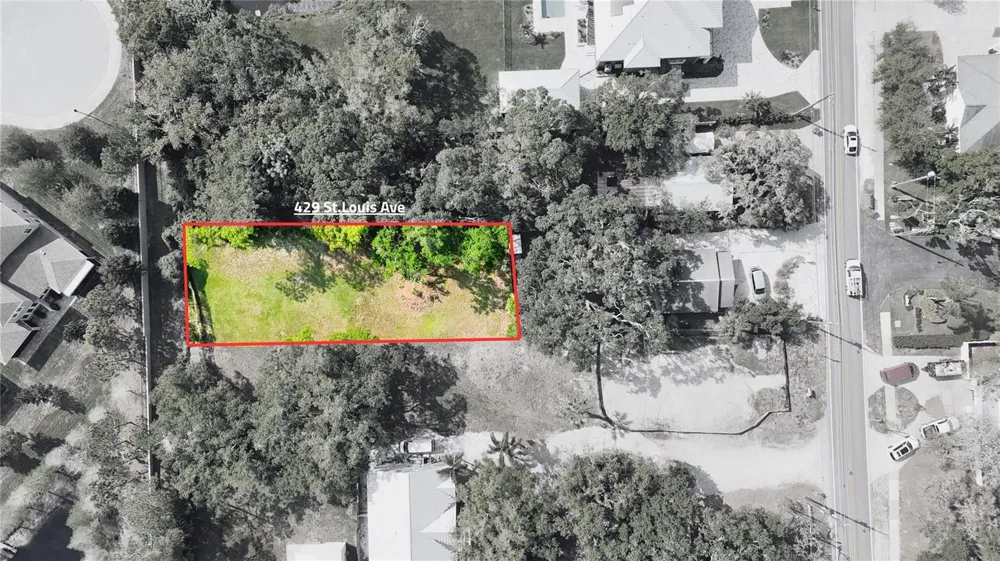 429 ST LOUIS AVENUE Palm Harbor, FL 34683