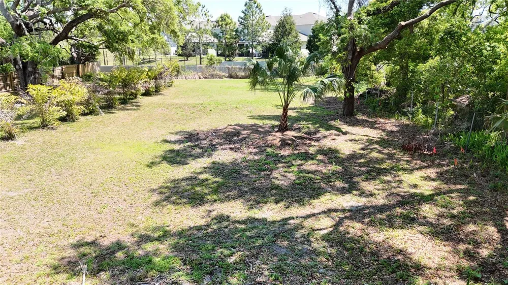 429 ST LOUIS AVENUE Palm Harbor, FL 34683