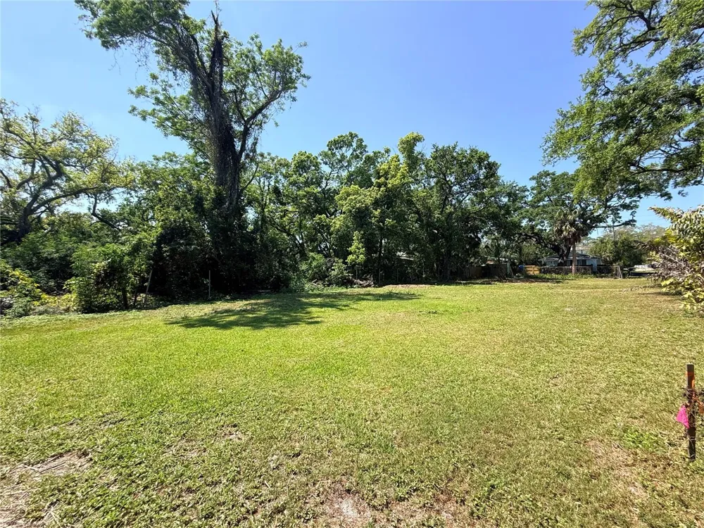 429 ST LOUIS AVENUE Palm Harbor, FL 34683