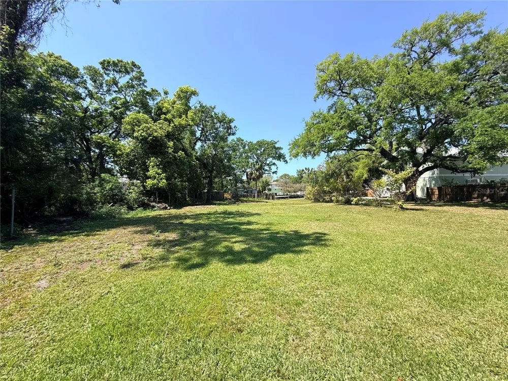 429 ST LOUIS AVENUE Palm Harbor, FL 34683