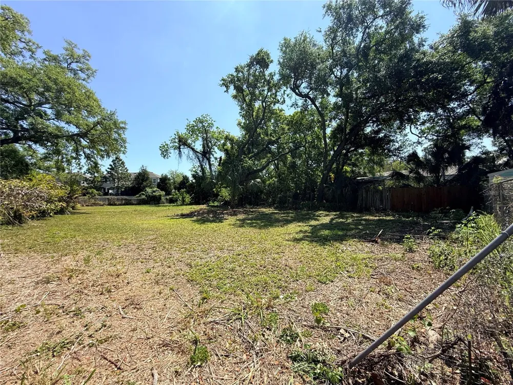 429 ST LOUIS AVENUE Palm Harbor, FL 34683