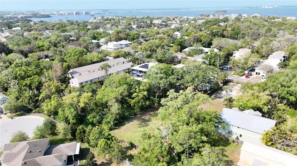 429 ST LOUIS AVENUE Palm Harbor, FL 34683