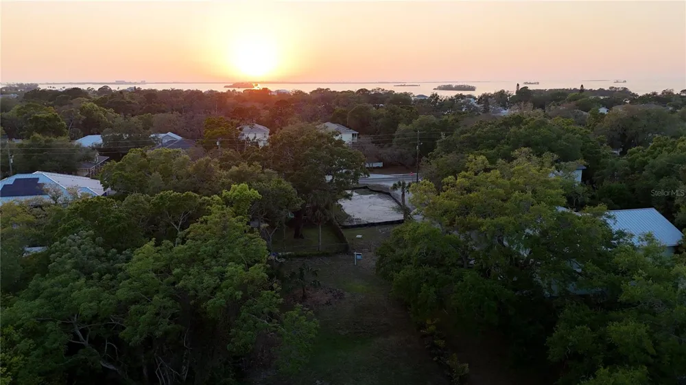 429 ST LOUIS AVENUE Palm Harbor, FL 34683