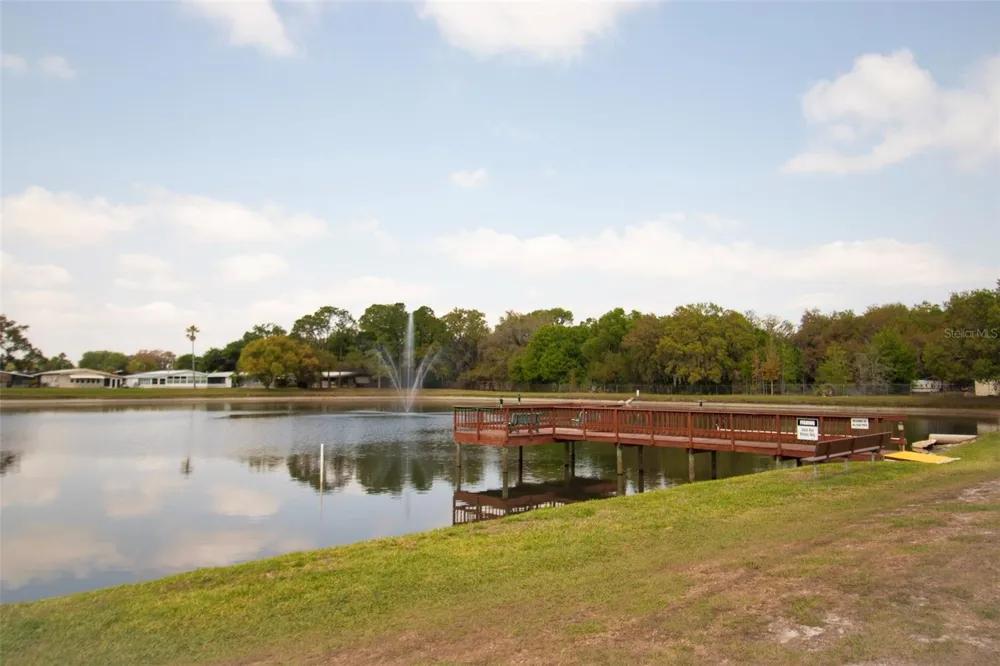 3024 BRIAR STREET Wesley Chapel, FL 33543