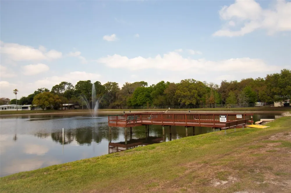 3024 BRIAR STREET Wesley Chapel, FL 33543