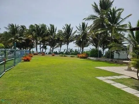 Las Picuas Beach BO. ZORZAL ORCHARD #6