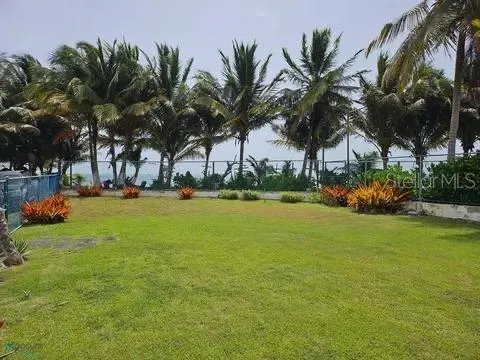 Las Picuas Beach BO. ZORZAL ORCHARD #6 Rio Grande, PR 00745