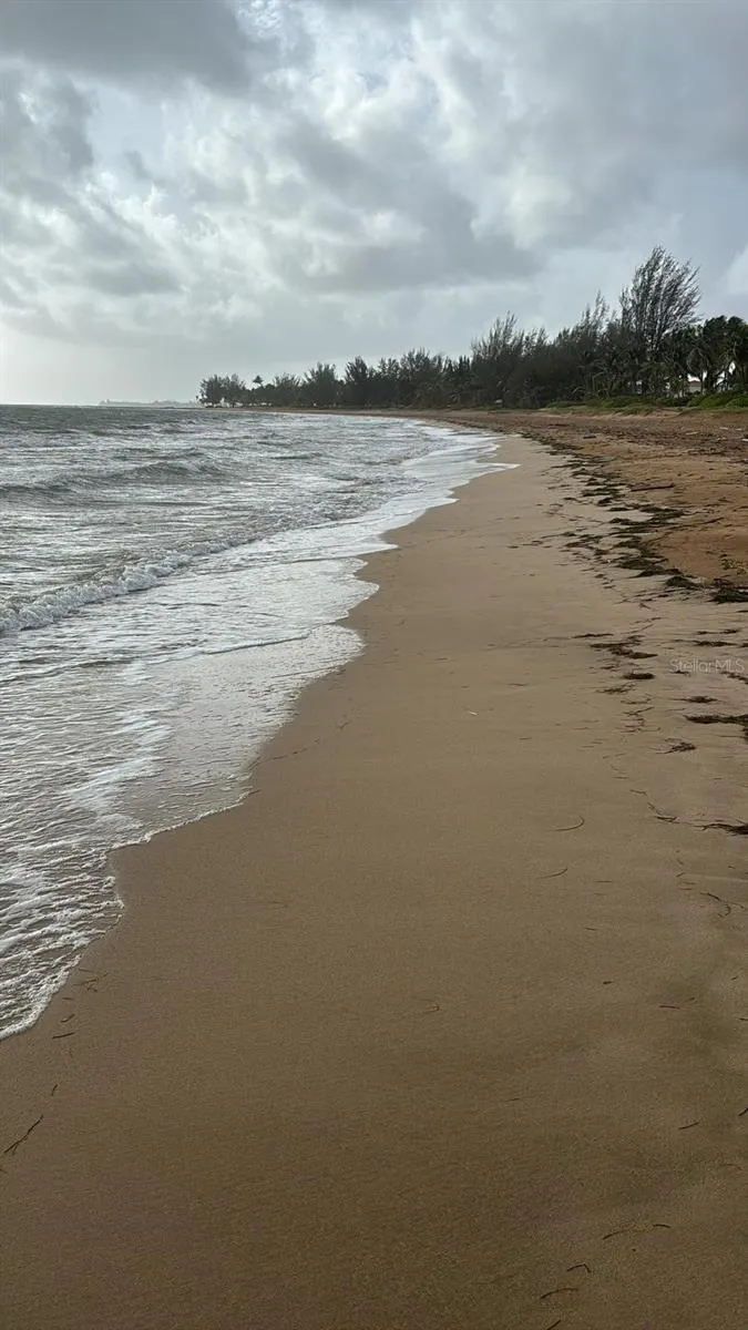 Las Picuas Beach BO. ZORZAL ORCHARD #6 Rio Grande, PR 00745