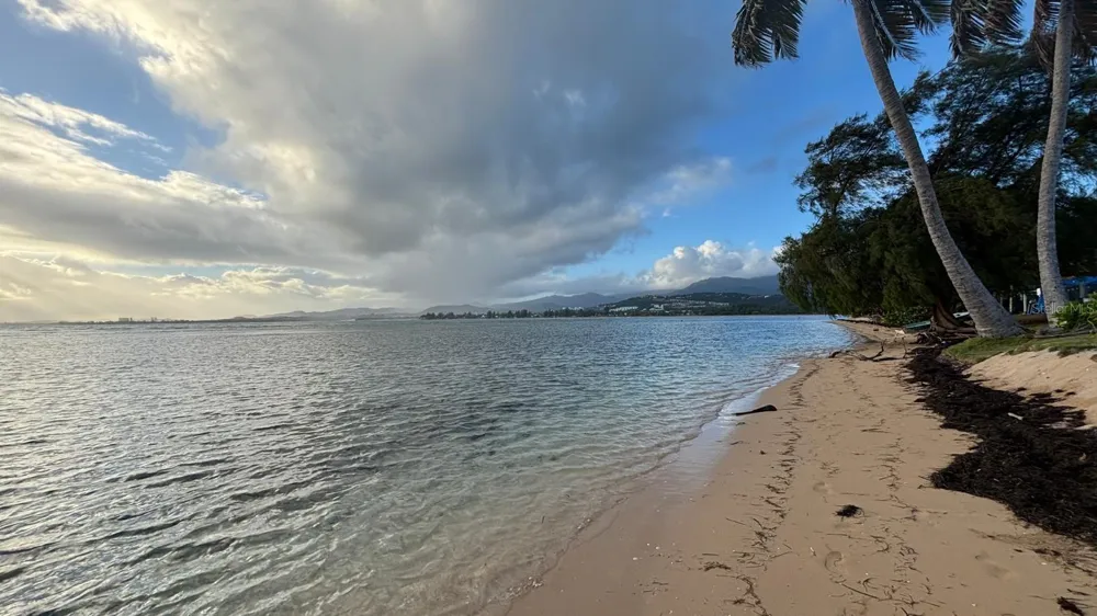 Las Picuas Beach BO. ZORZAL ORCHARD #6 Rio Grande, PR 00745