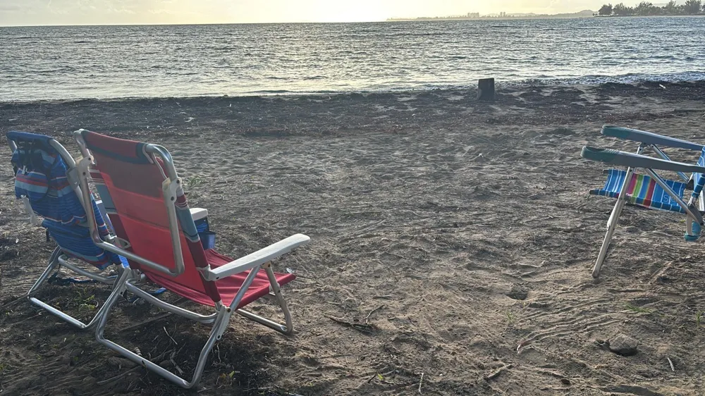 Las Picuas Beach BO. ZORZAL ORCHARD #6 Rio Grande, PR 00745