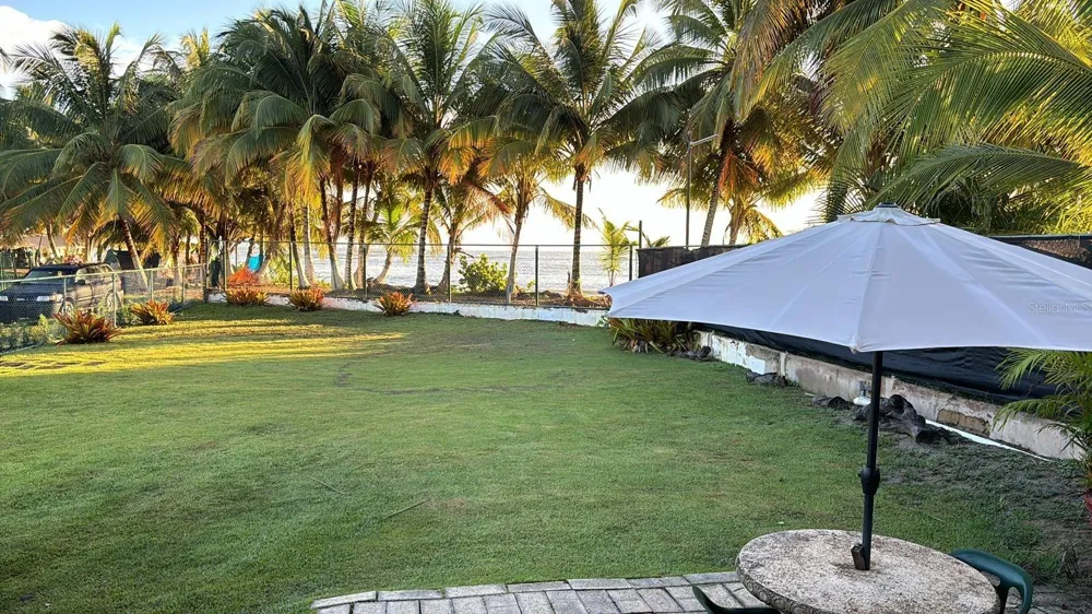 Las Picuas Beach BO. ZORZAL ORCHARD #6 Rio Grande, PR 00745