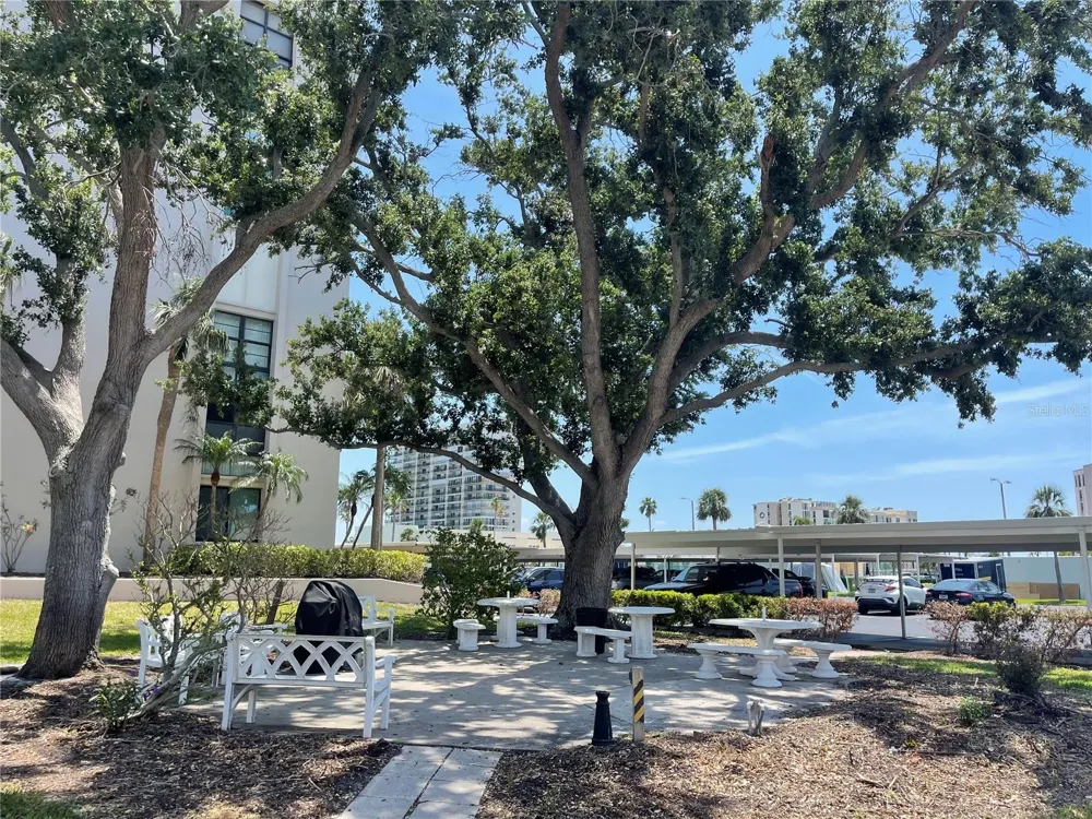 7910 SUN ISLAND DRIVE S #203 South Pasadena, FL 33707
