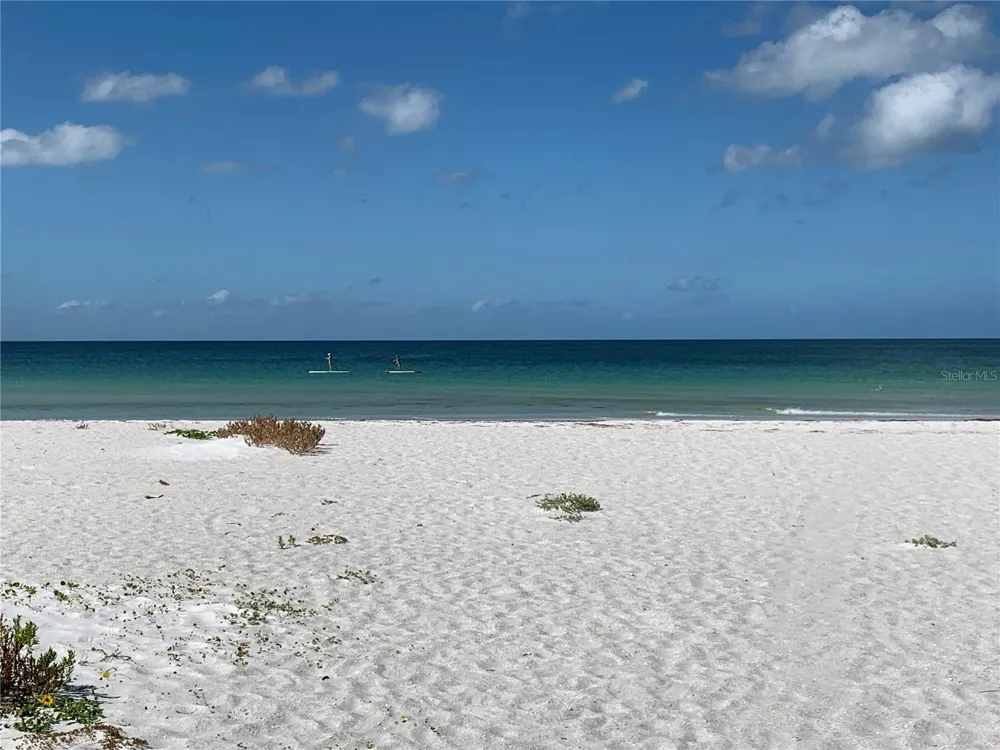 7910 SUN ISLAND DRIVE S #203 South Pasadena, FL 33707