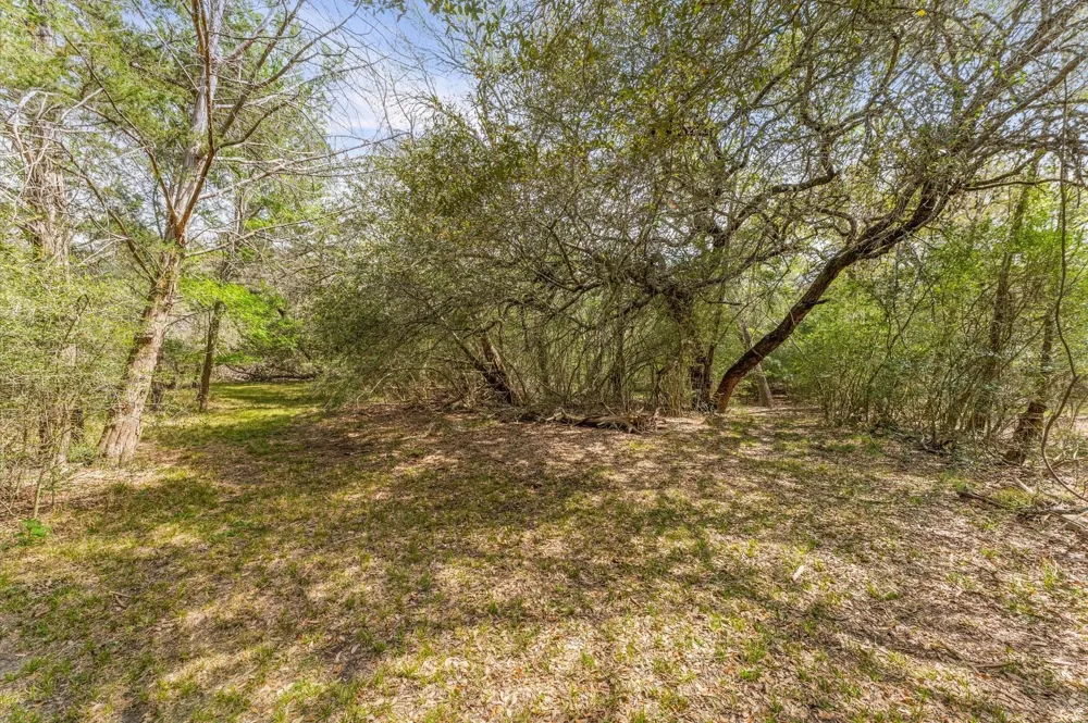 1221 Abel Road New Ulm, TX 78950