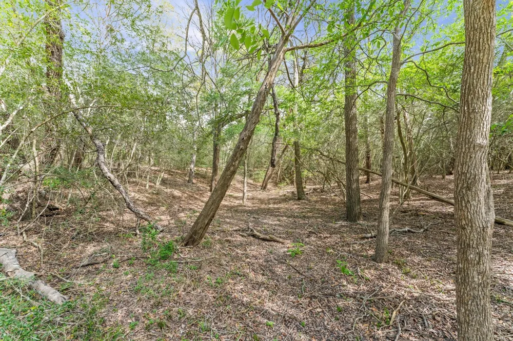 1221 Abel Road New Ulm, TX 78950