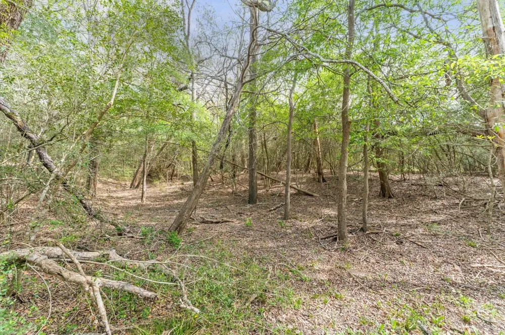 1221 Abel Road New Ulm, TX 78950