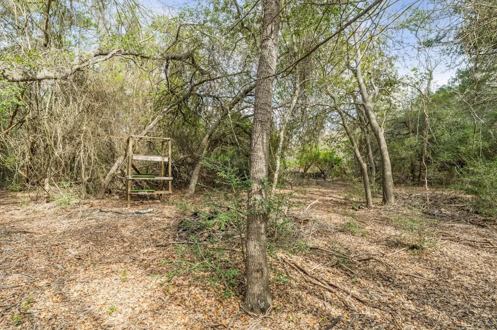 1221 Abel Road New Ulm, TX 78950
