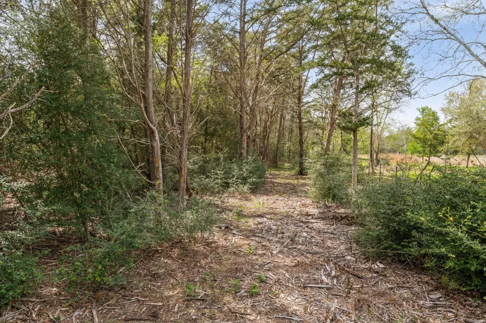 1221 Abel Road New Ulm, TX 78950