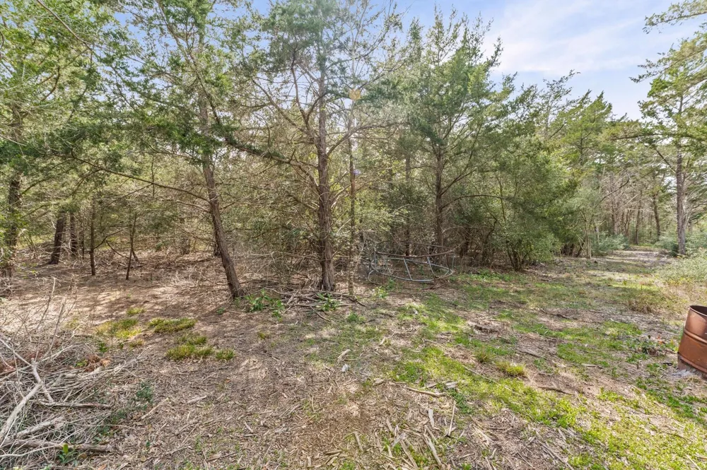 1221 Abel Road New Ulm, TX 78950