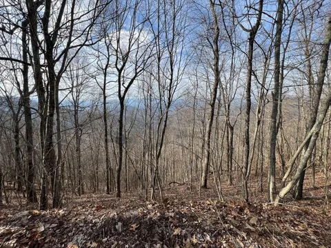 Butterfly Path