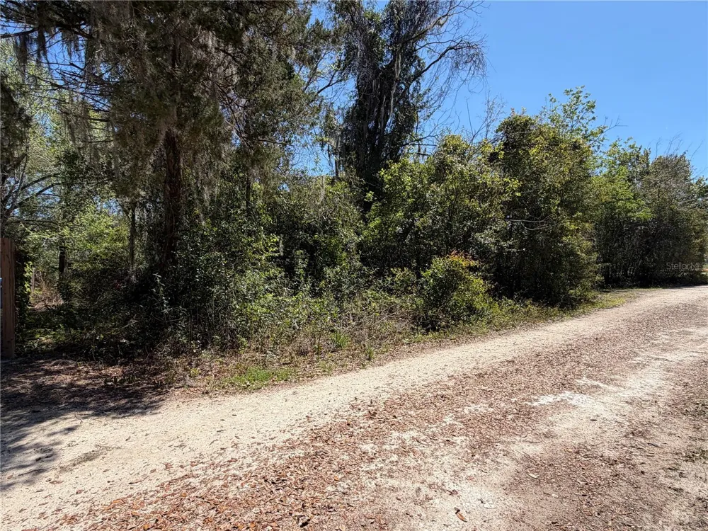 300blk NW 245TH TERRACE Newberry, FL 32669