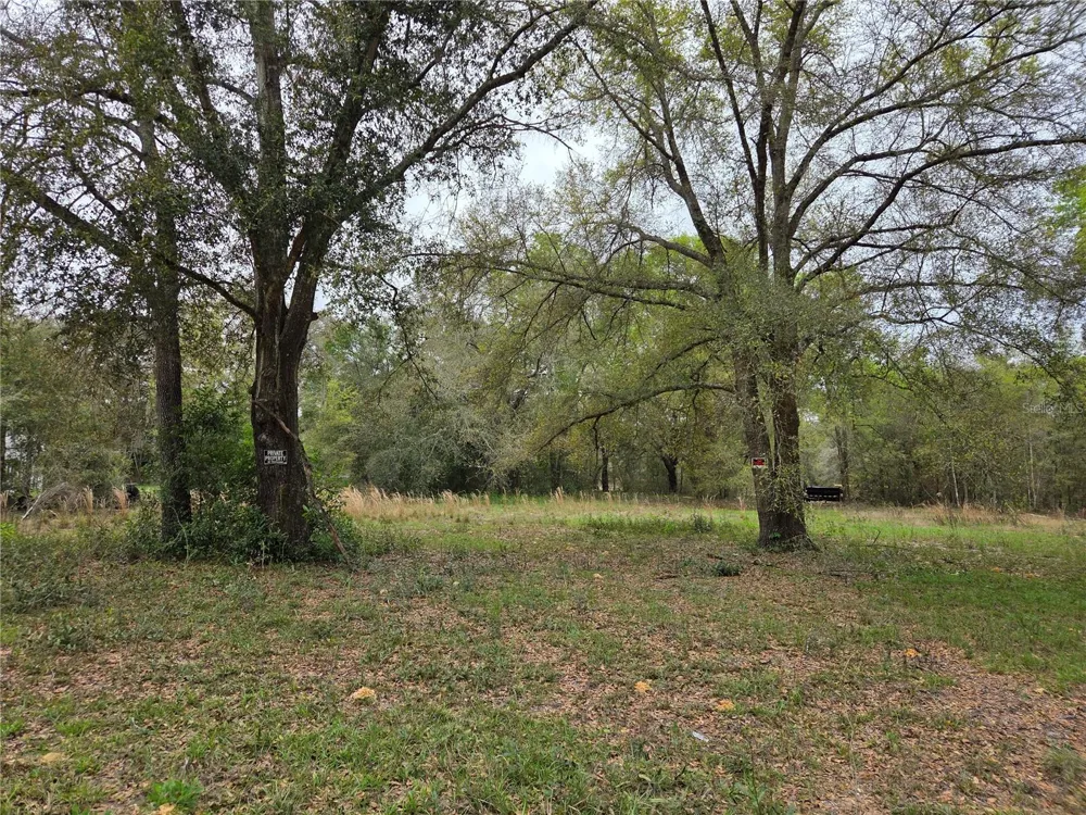 5870 NE 139TH AVENUE Williston, FL 32696
