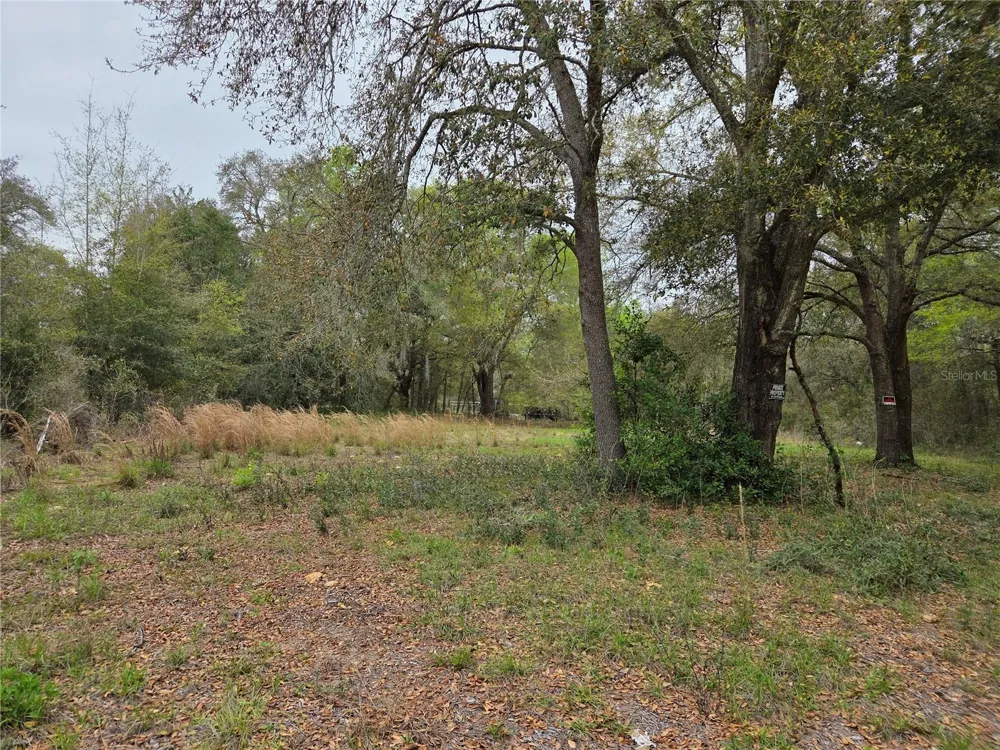 5870 NE 139TH AVENUE Williston, FL 32696