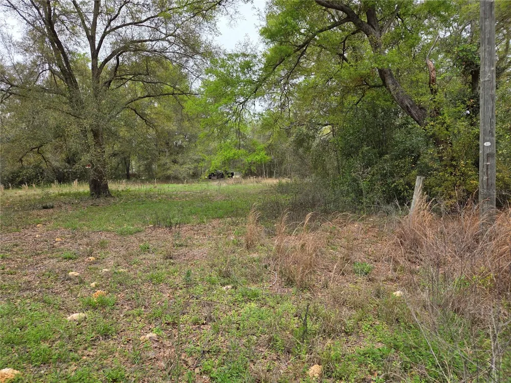 5870 NE 139TH AVENUE Williston, FL 32696