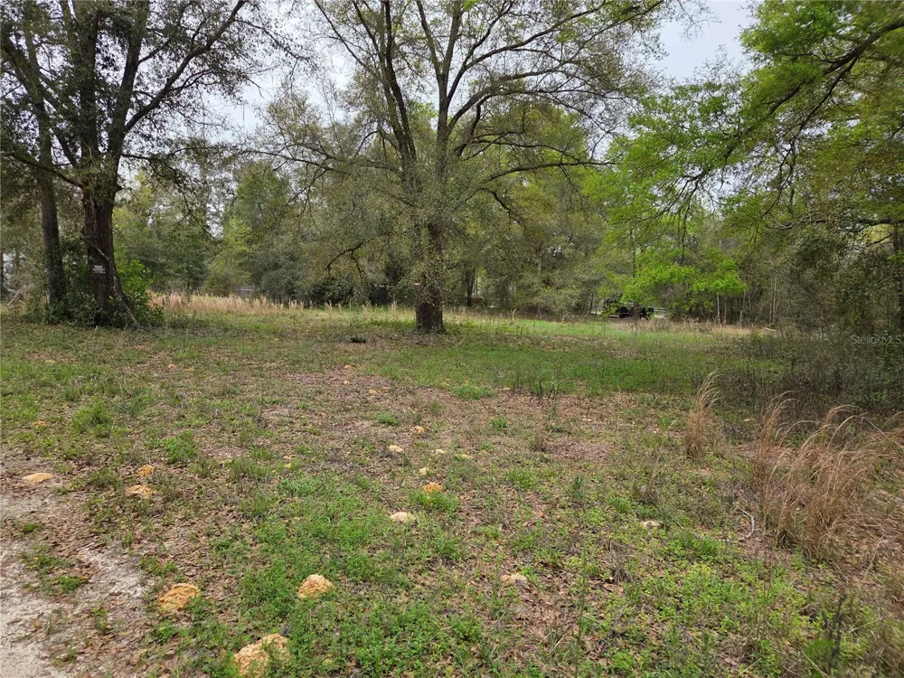 5870 NE 139TH AVENUE Williston, FL 32696