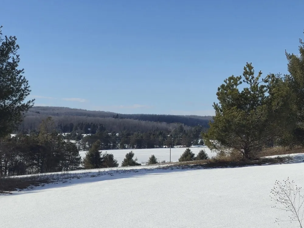 5850 Deer Run Trail Harbor Springs, MI 49740