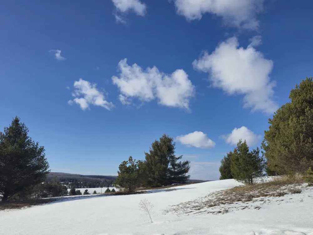 5850 Deer Run Trail Harbor Springs, MI 49740