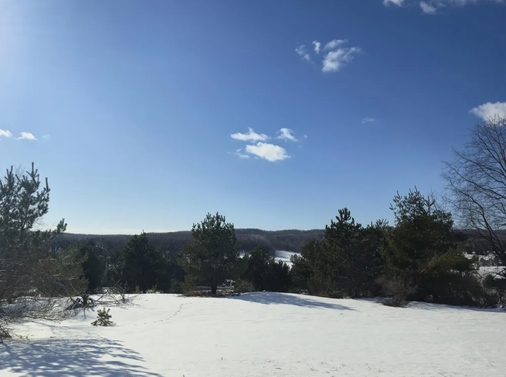5850 Deer Run Trail Harbor Springs, MI 49740