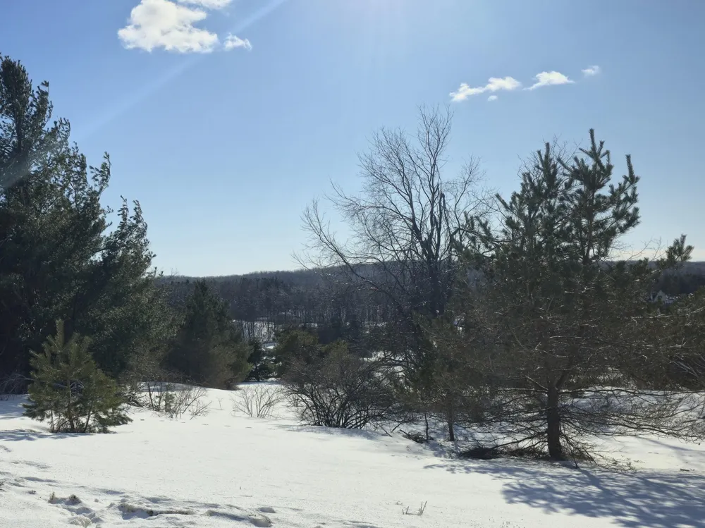 5850 Deer Run Trail Harbor Springs, MI 49740
