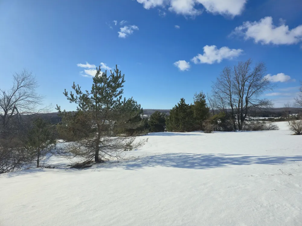 5850 Deer Run Trail Harbor Springs, MI 49740