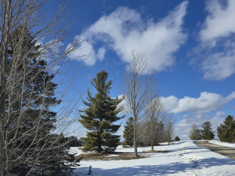 5850 Deer Run Trail Harbor Springs, MI 49740