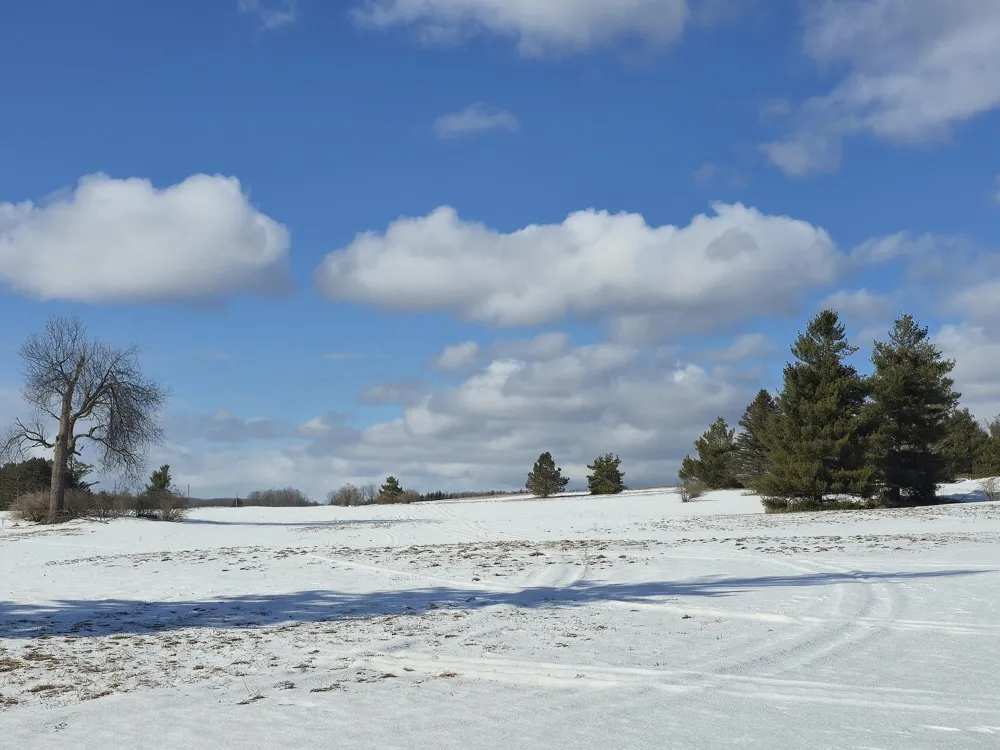 5850 Deer Run Trail Harbor Springs, MI 49740