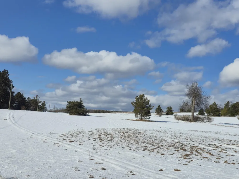 5850 Deer Run Trail Harbor Springs, MI 49740