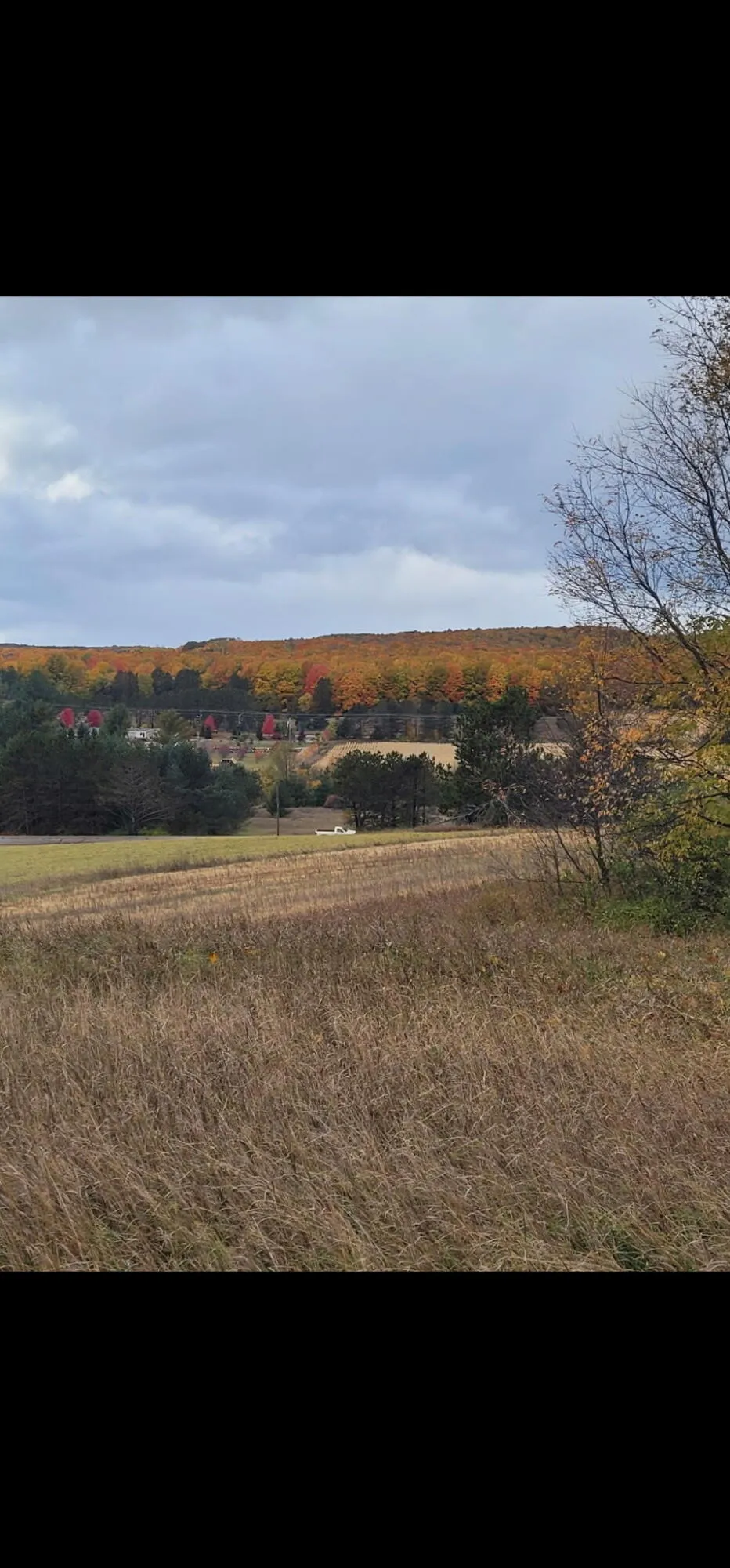 5850 Deer Run Trail Harbor Springs, MI 49740