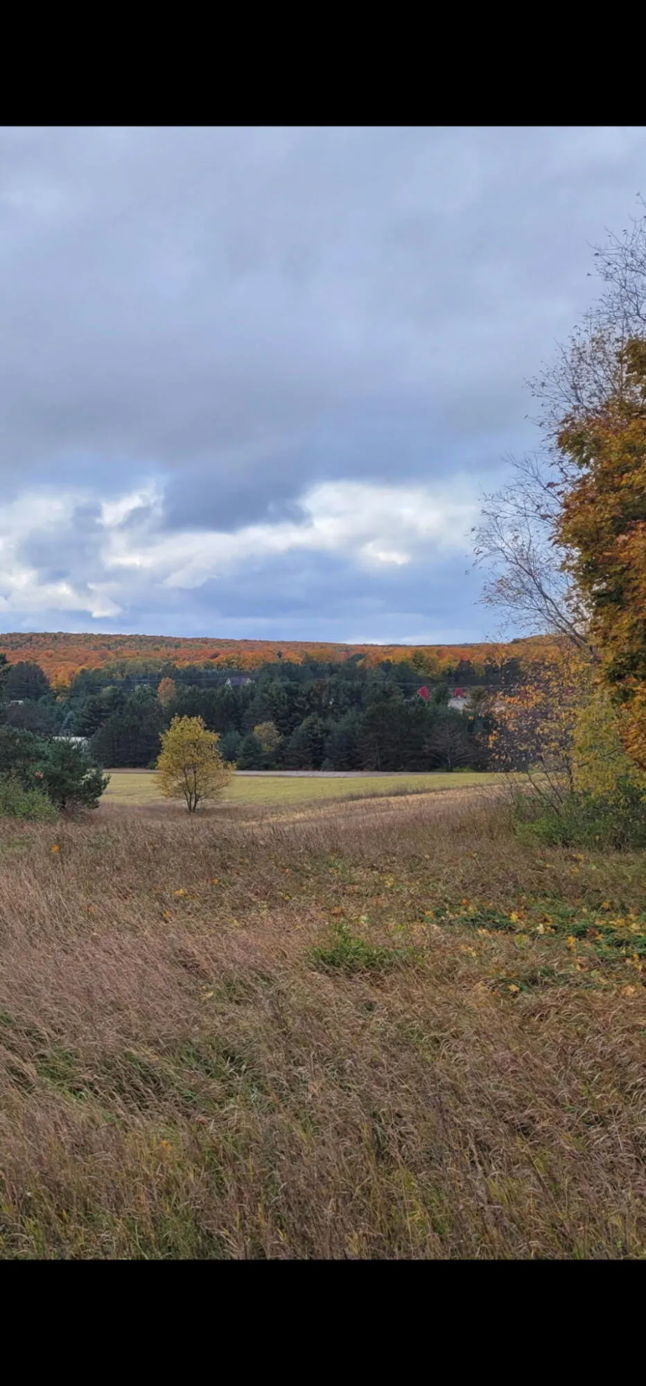 5850 Deer Run Trail Harbor Springs, MI 49740