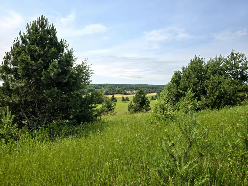 5850 Deer Run Trail Harbor Springs, MI 49740