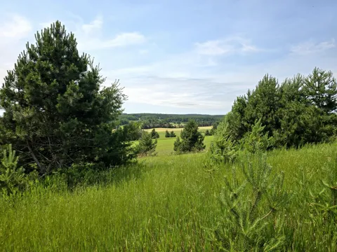5850 Deer Run Trail