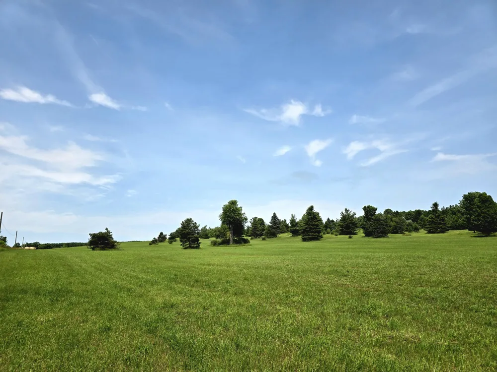 5850 Deer Run Trail Harbor Springs, MI 49740