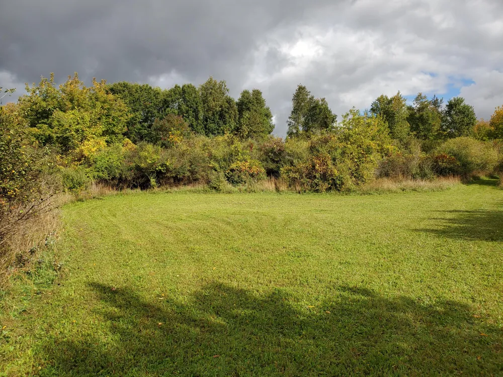 419 S Juniper Street NE Edmore, MI 48829