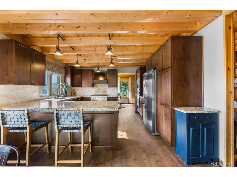 685 Jesse Lane Bailey, CO 80421