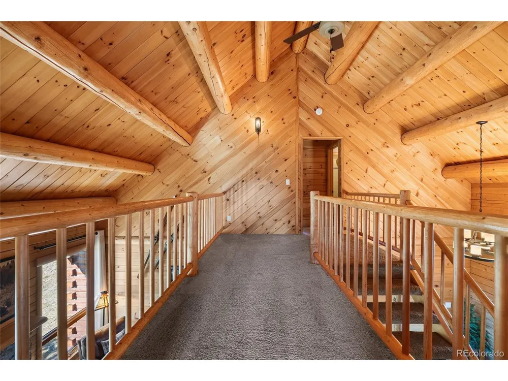 685 Jesse Lane Bailey, CO 80421